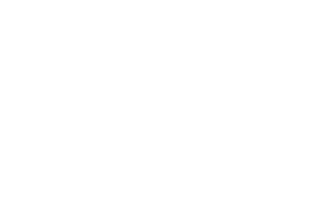 VISE_Logotipo_bco.png
