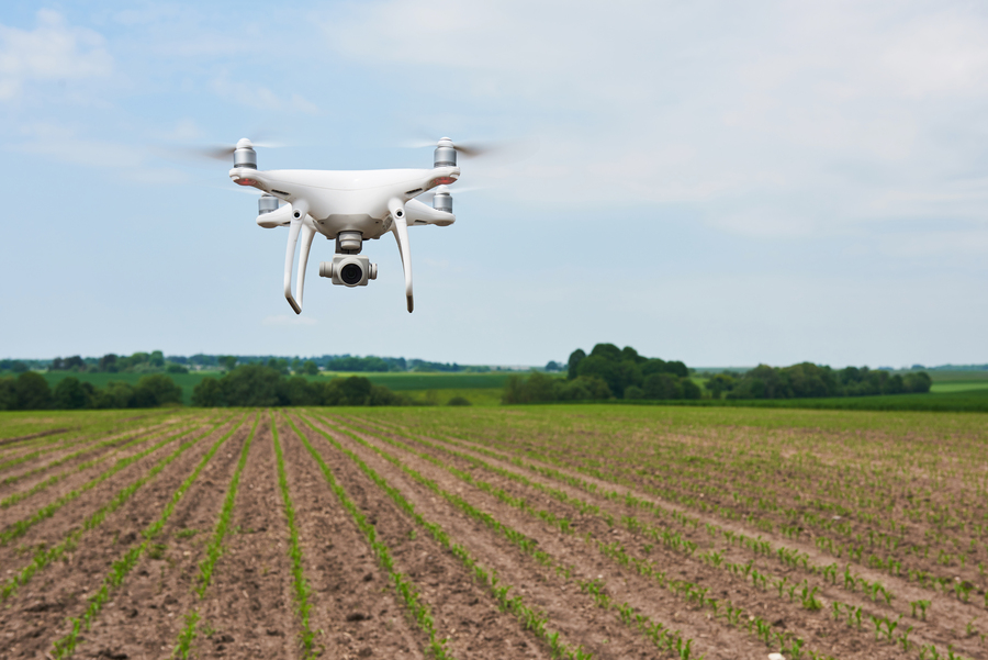 drone-quad-copter-with-high-resolution-digital-camera-green-corn-field-agro